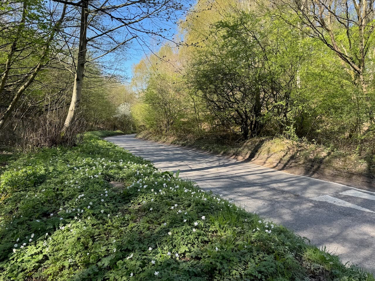 Granville Country Park - Image 2