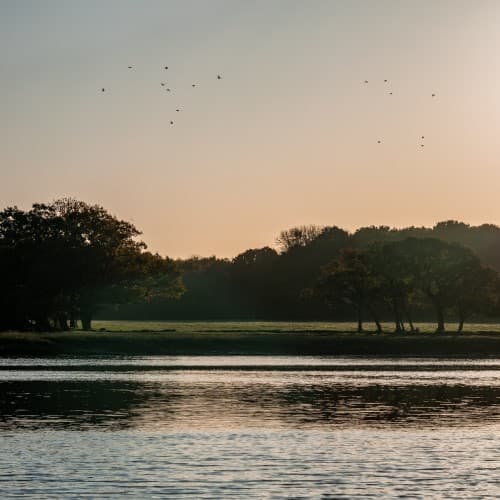 River Hamble Country Park - Main view