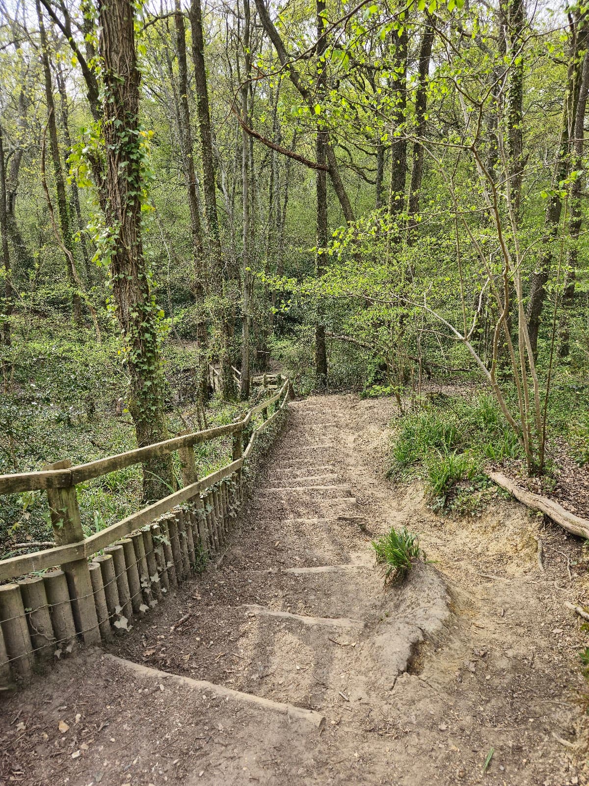 River Hamble Country Park - Image 3
