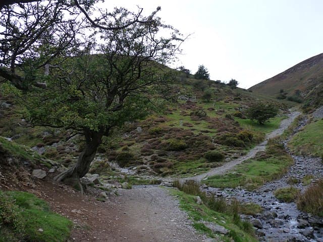 National Trust - Carding Mill Valley and the Long Mynd - Image 3