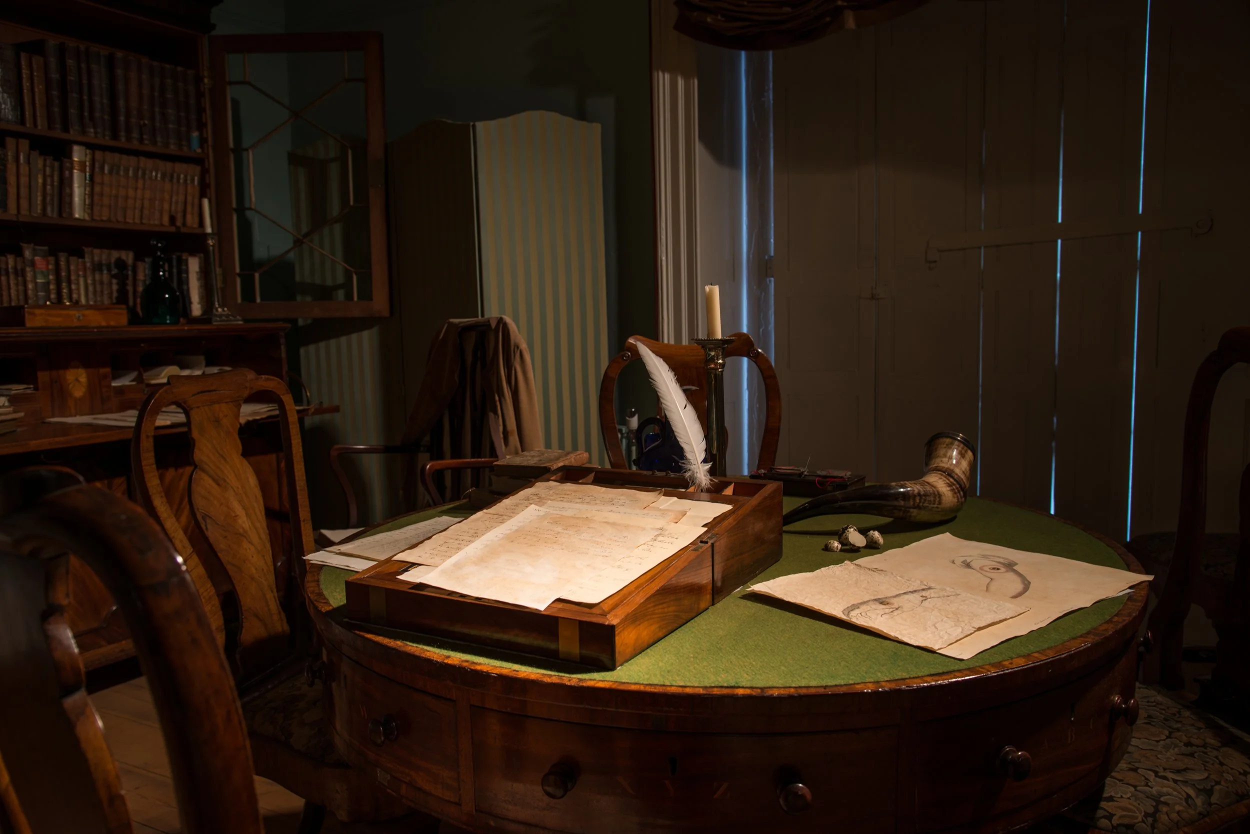 Dr Jenner's House and Museum - Image 4