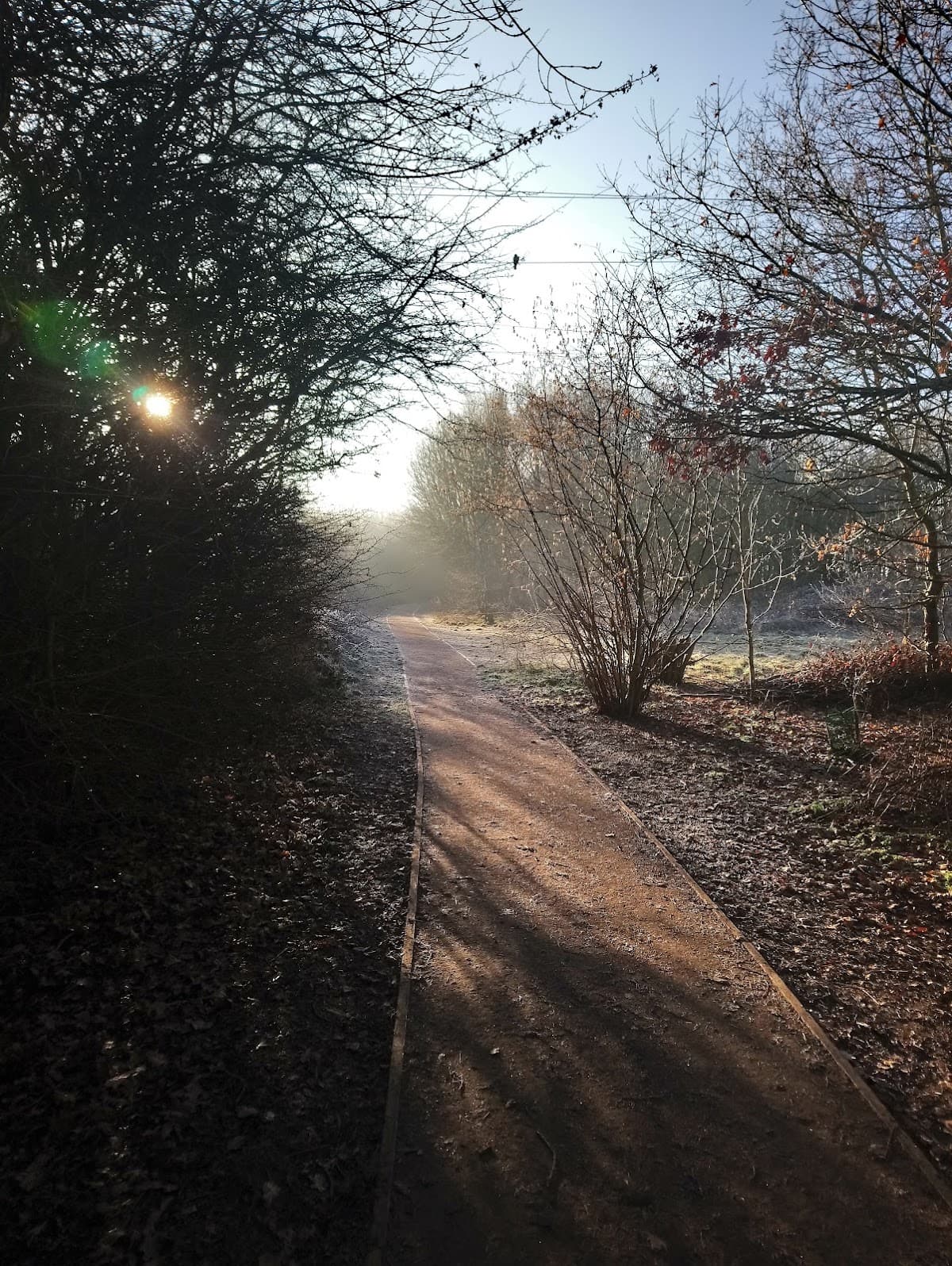 Oakfield Park - Image 1