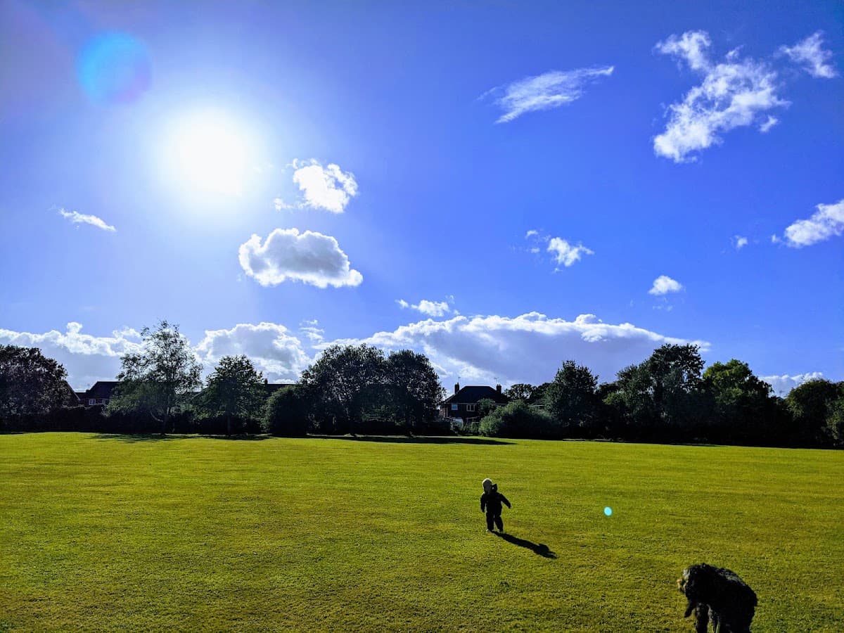 Oakfield Park - Image 2