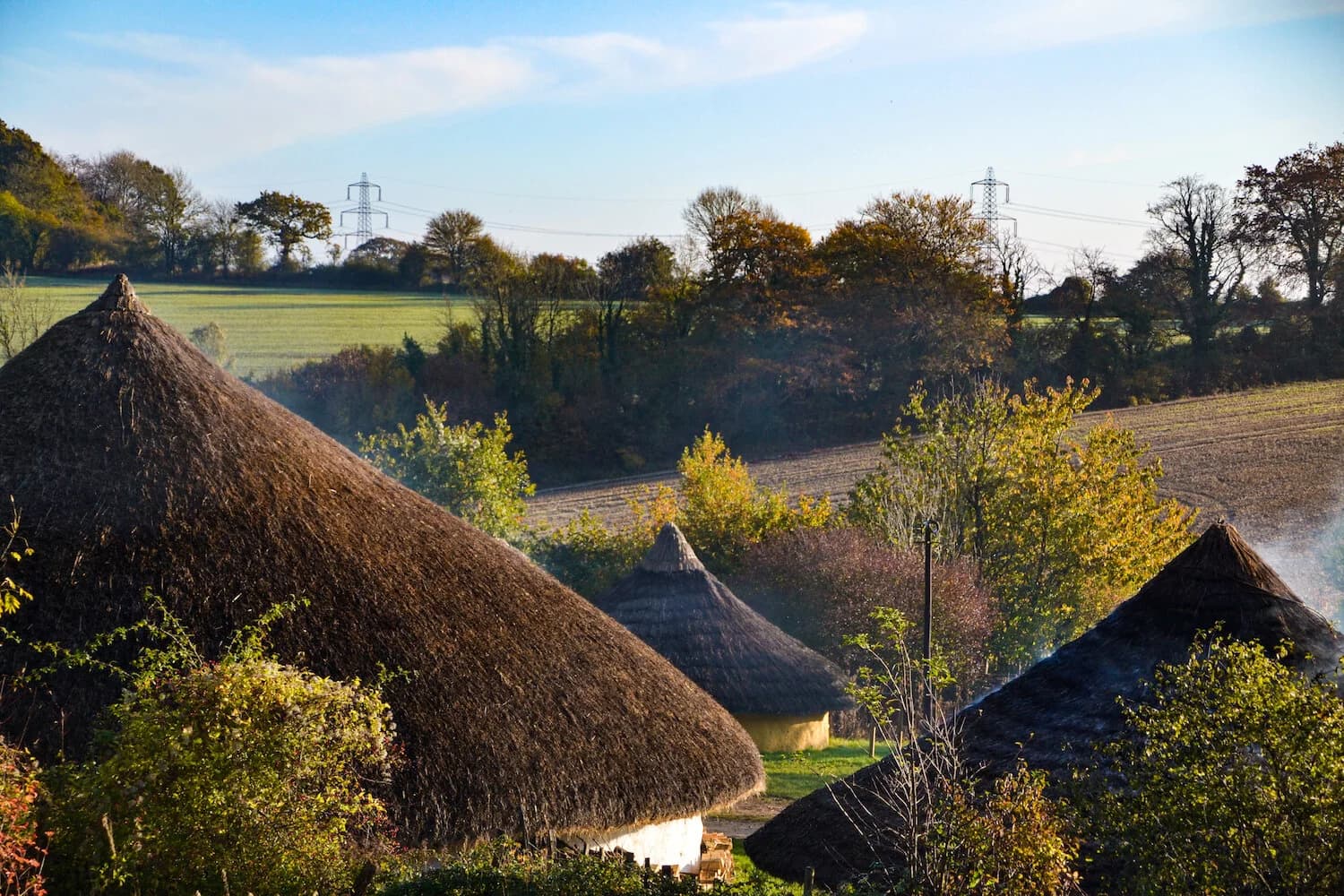 Butser Ancient Farm - Main view