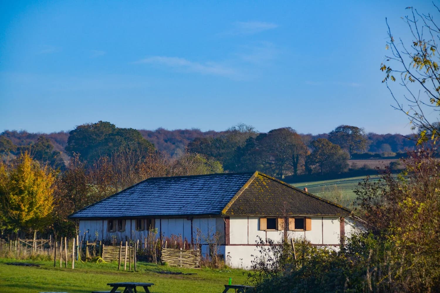 Butser Ancient Farm - Image 2