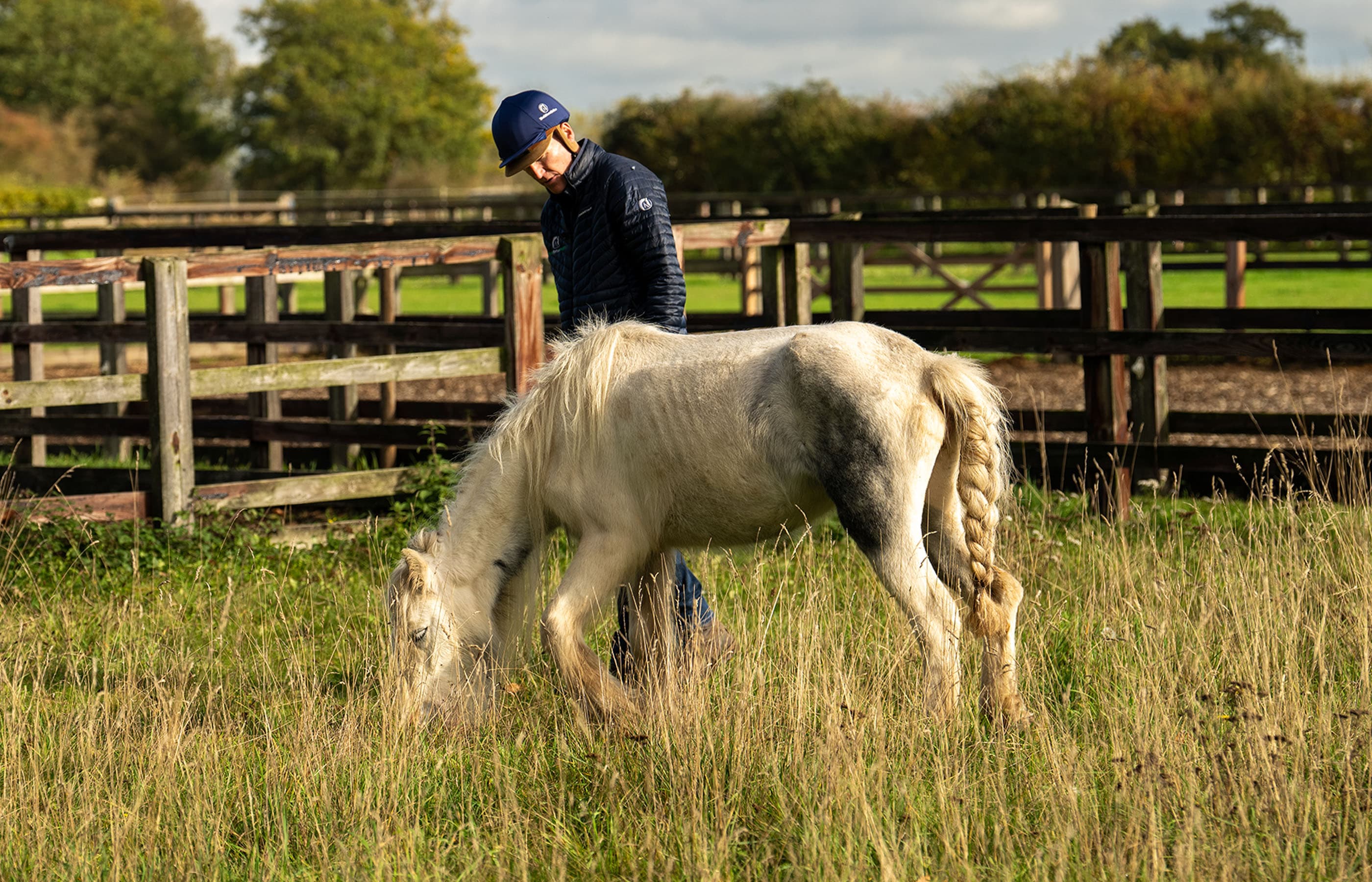 World Horse Welfare Hall Farm - Image 3