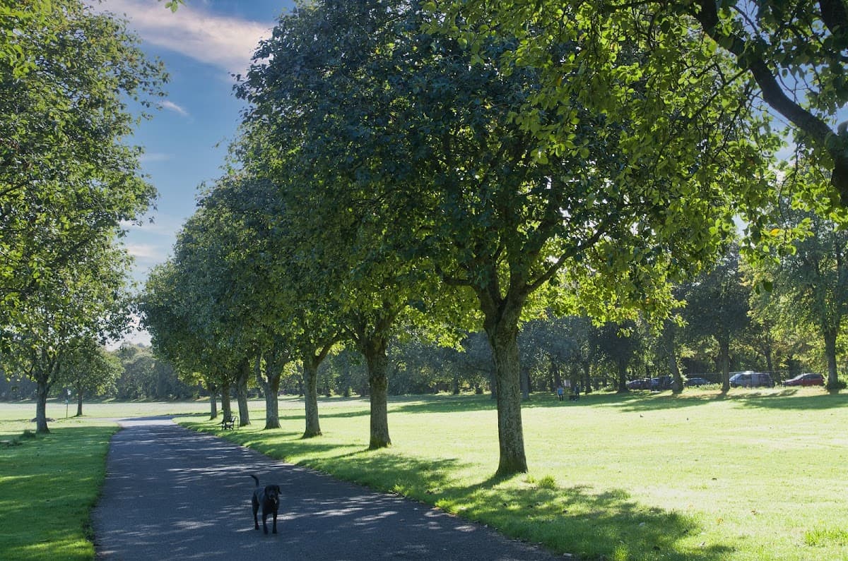 Bellahouston Park - Image 4