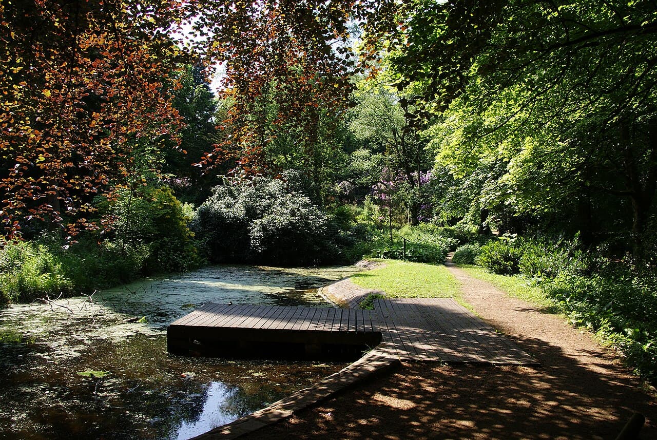 Etherow Lodge Park - Image 1