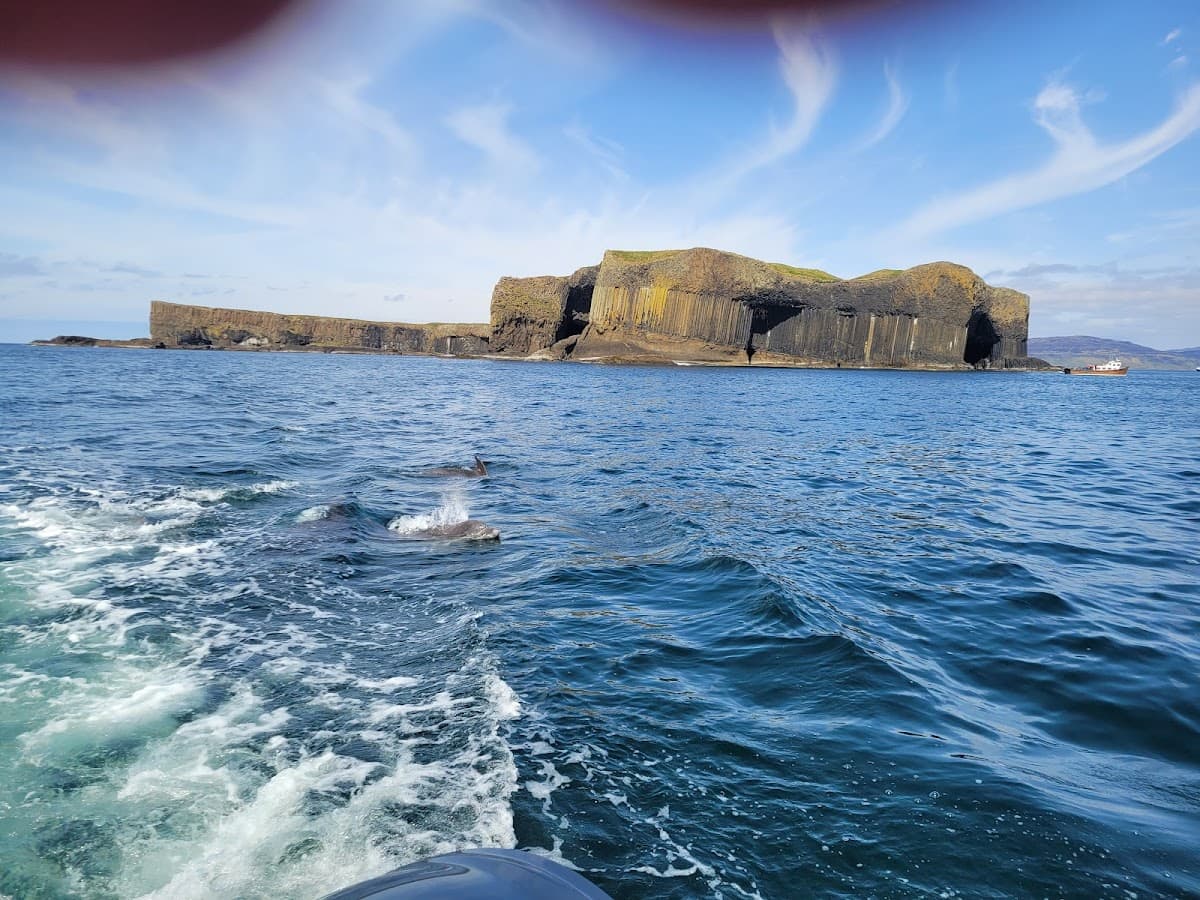 Sealife Adventures - Image 5