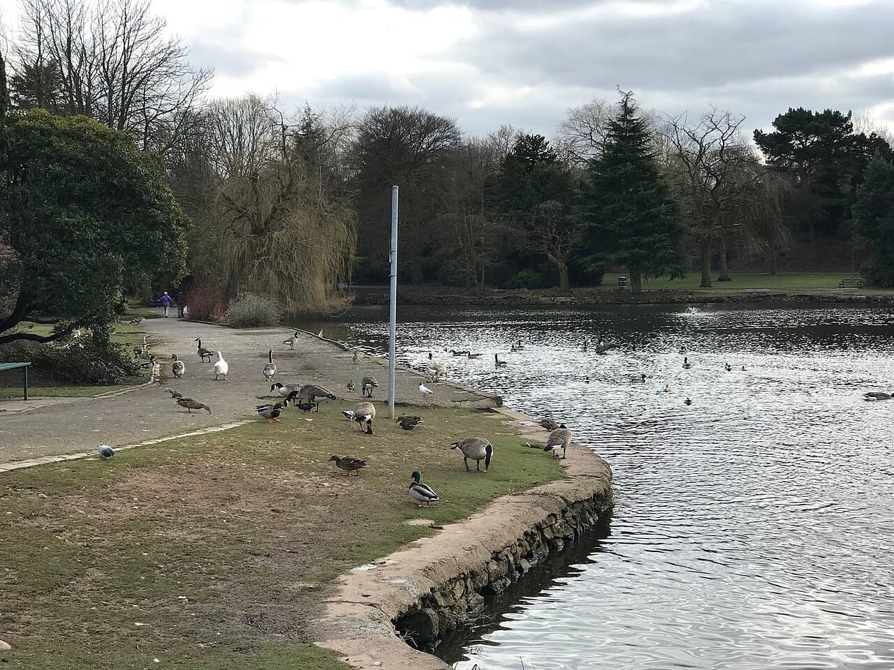 Longton Park - Image 3