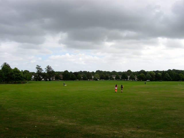 Lindfield Common - Main view