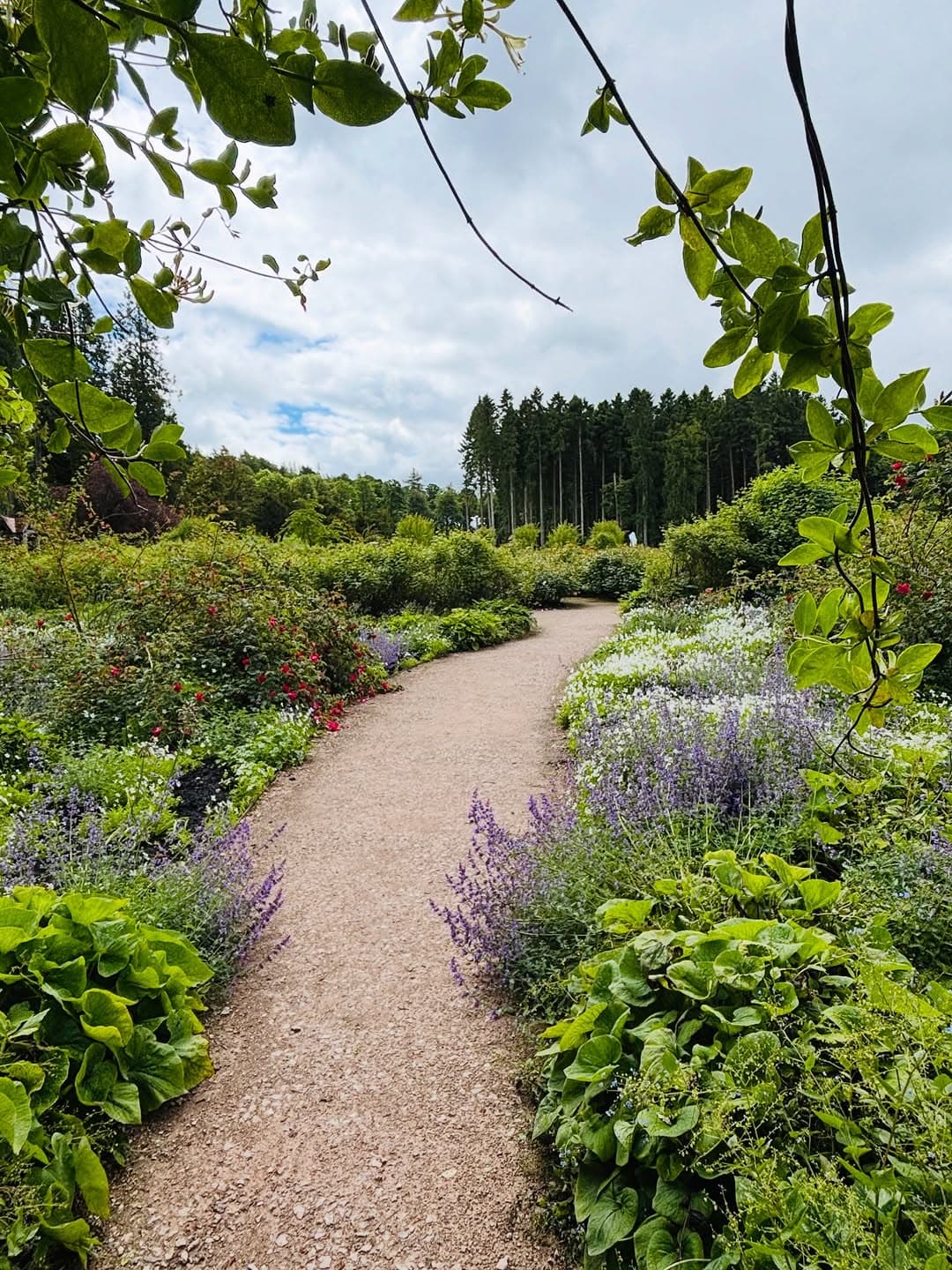Lowther Castle & Gardens - Image 2