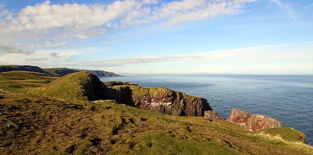St Abbs Head - Main view