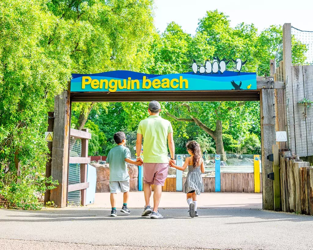 Penguin Beach - Main view