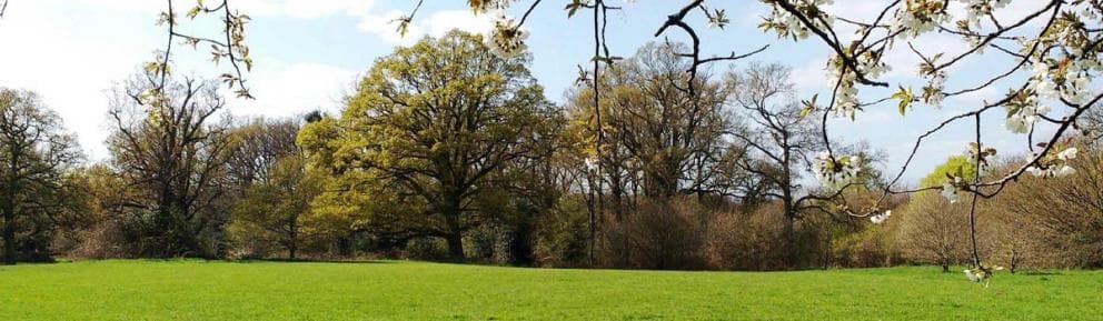 Popes Meadow - Image 1
