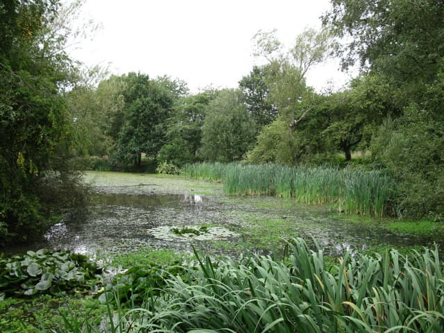 Popes Meadow - Image 2