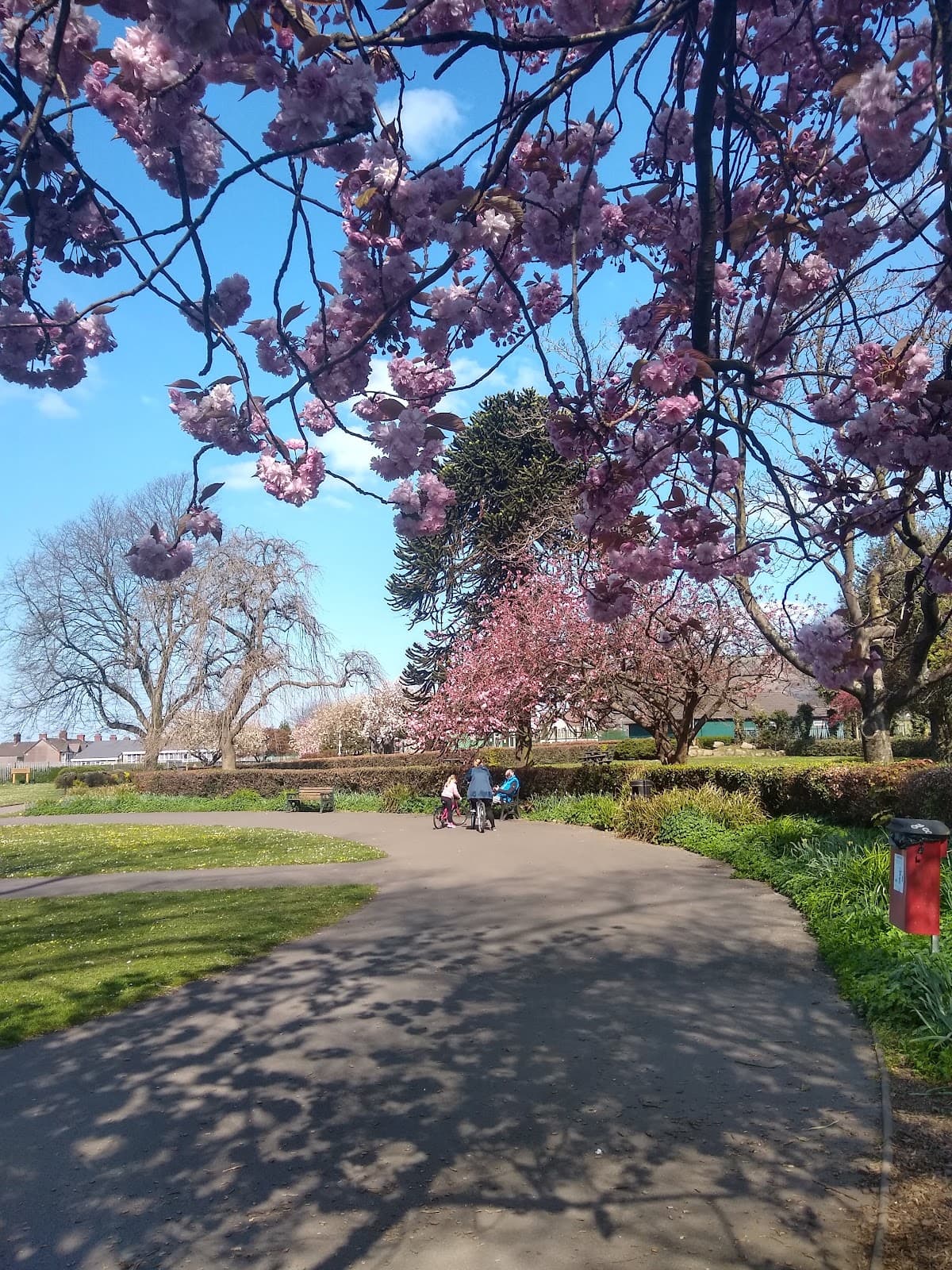 Talbot Memorial Park - Image 1