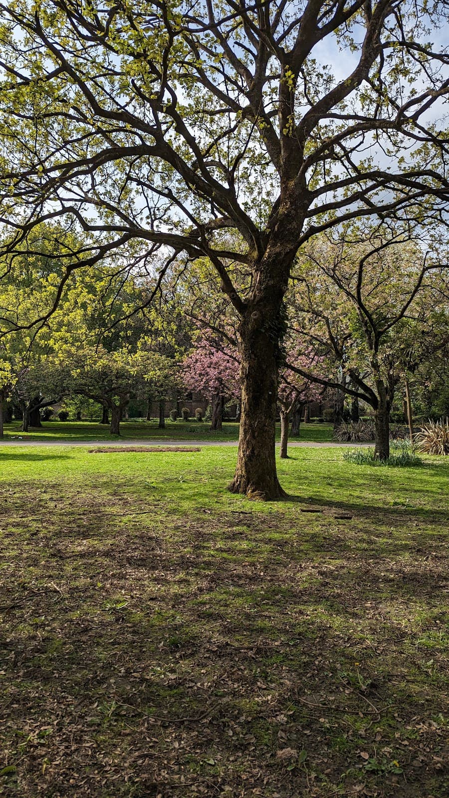 Talbot Memorial Park - Image 2