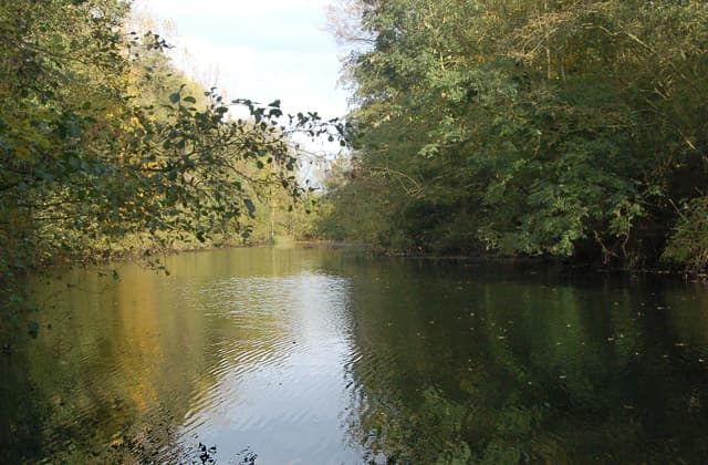 Ufton Nature Reserve - Image 1