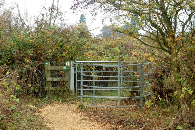Ufton Nature Reserve - Image 2