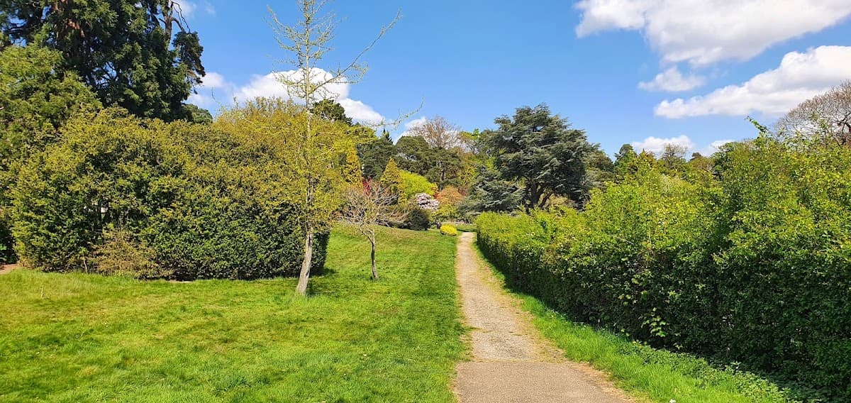 Croydon Ecology Centre - Image 1