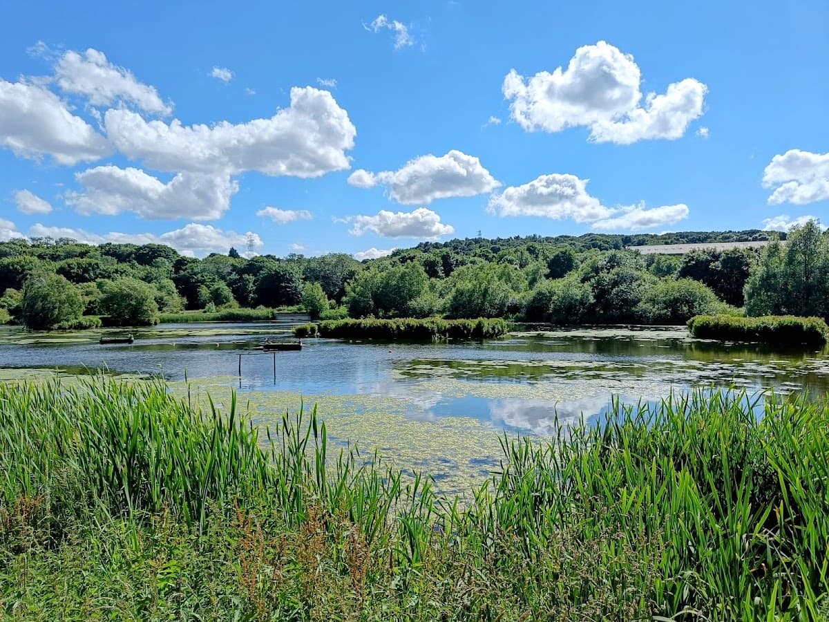 Rodley Nature Reserve - Image 2