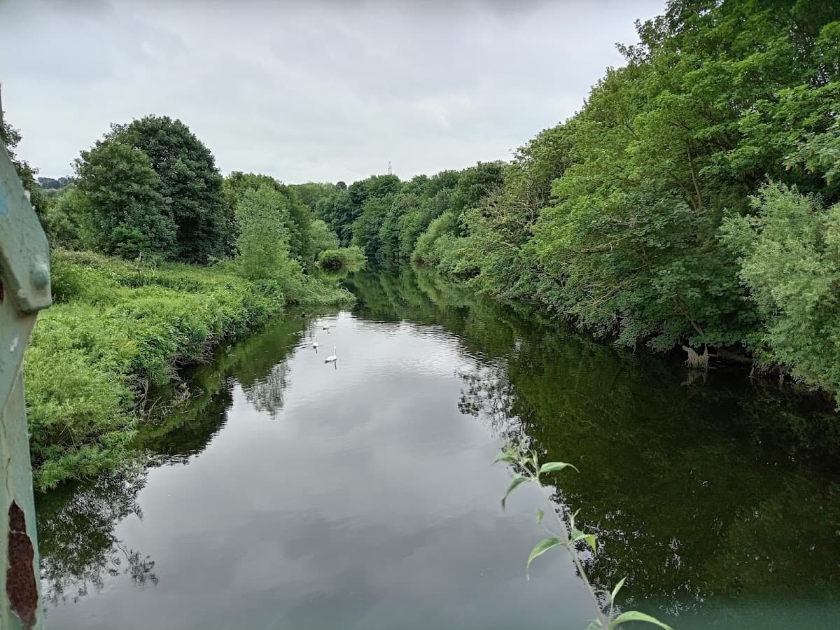 Rodley Nature Reserve - Image 3