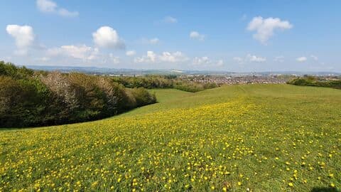 Ludwell Valley Park - Image 3