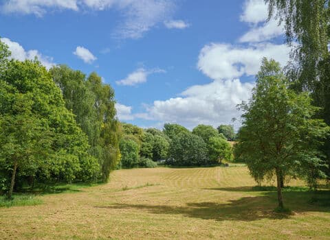Ludwell Valley Park - Image 4