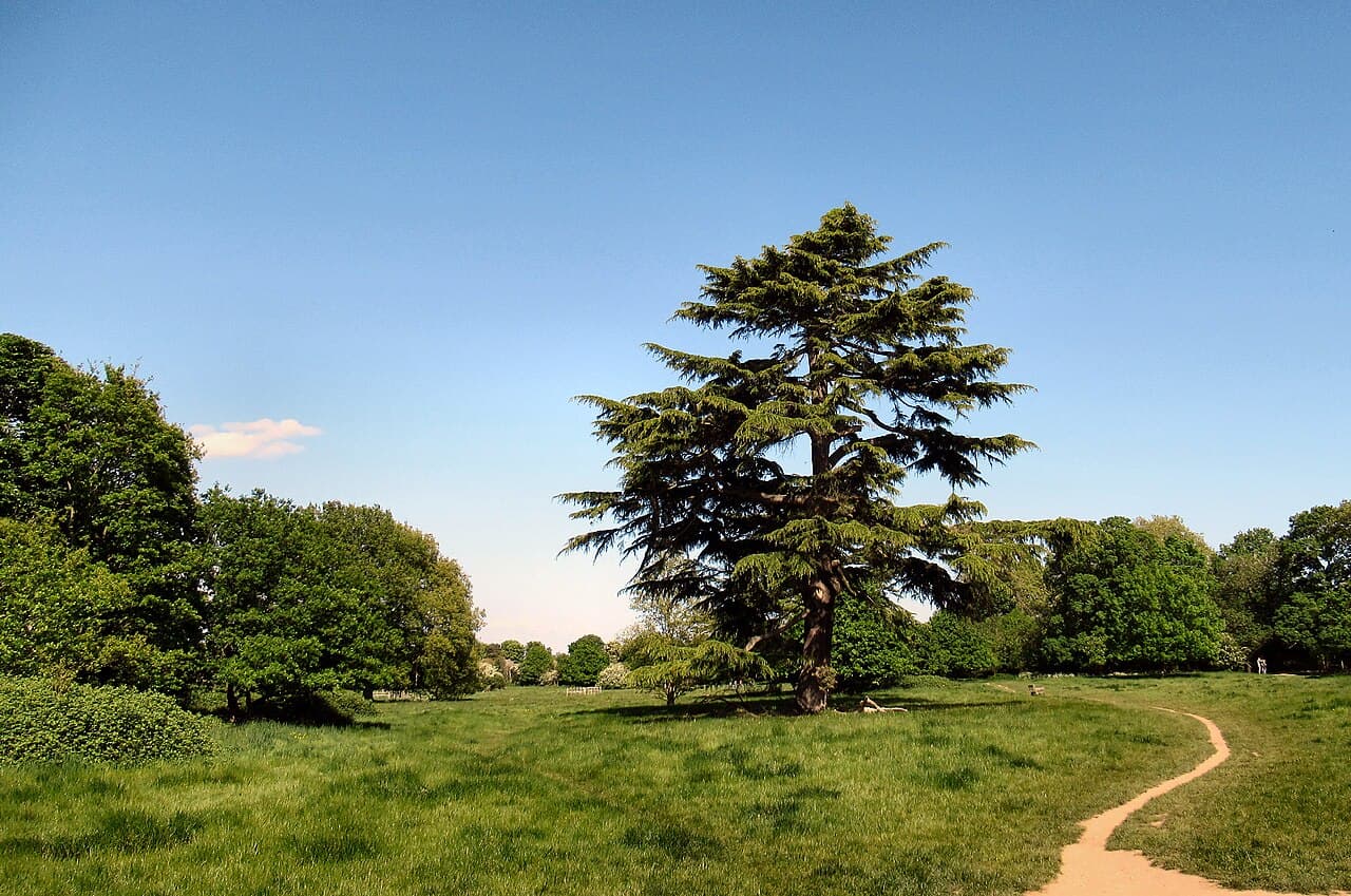 Sunbury Park - Image 2