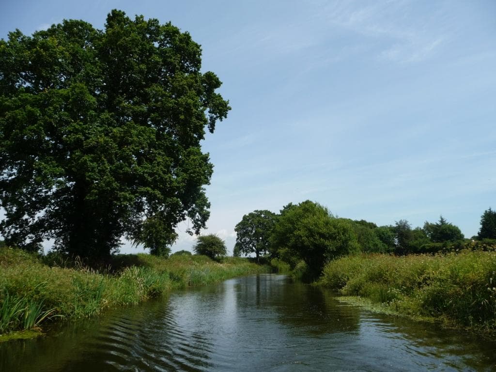 Grand Western Canal Country Park - Image 2