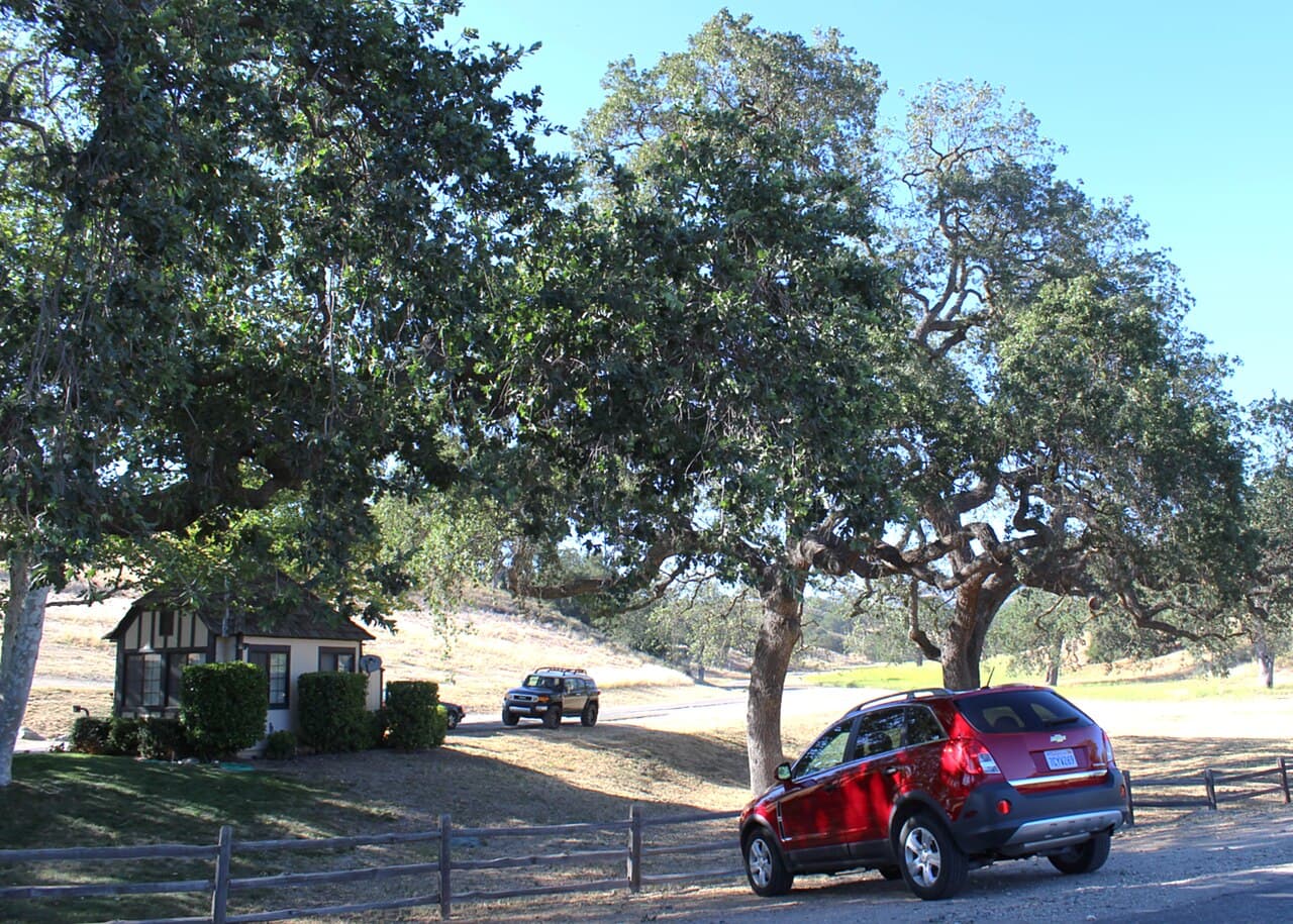 Mountain View Ranch - Main view