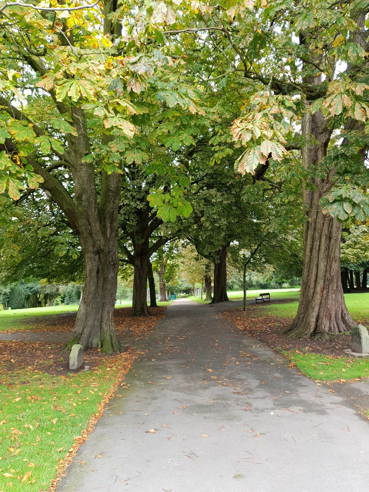 Mayer Park - Main view