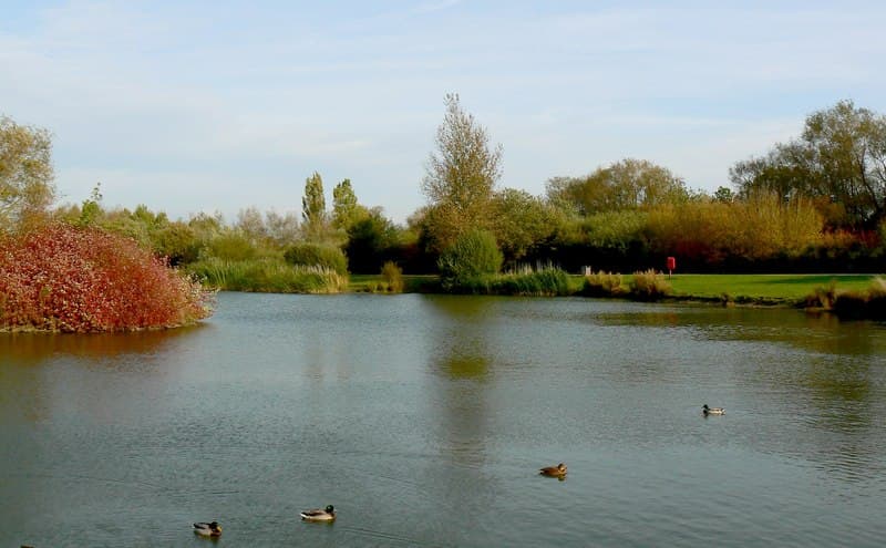 The Wick Country Park - Image 1
