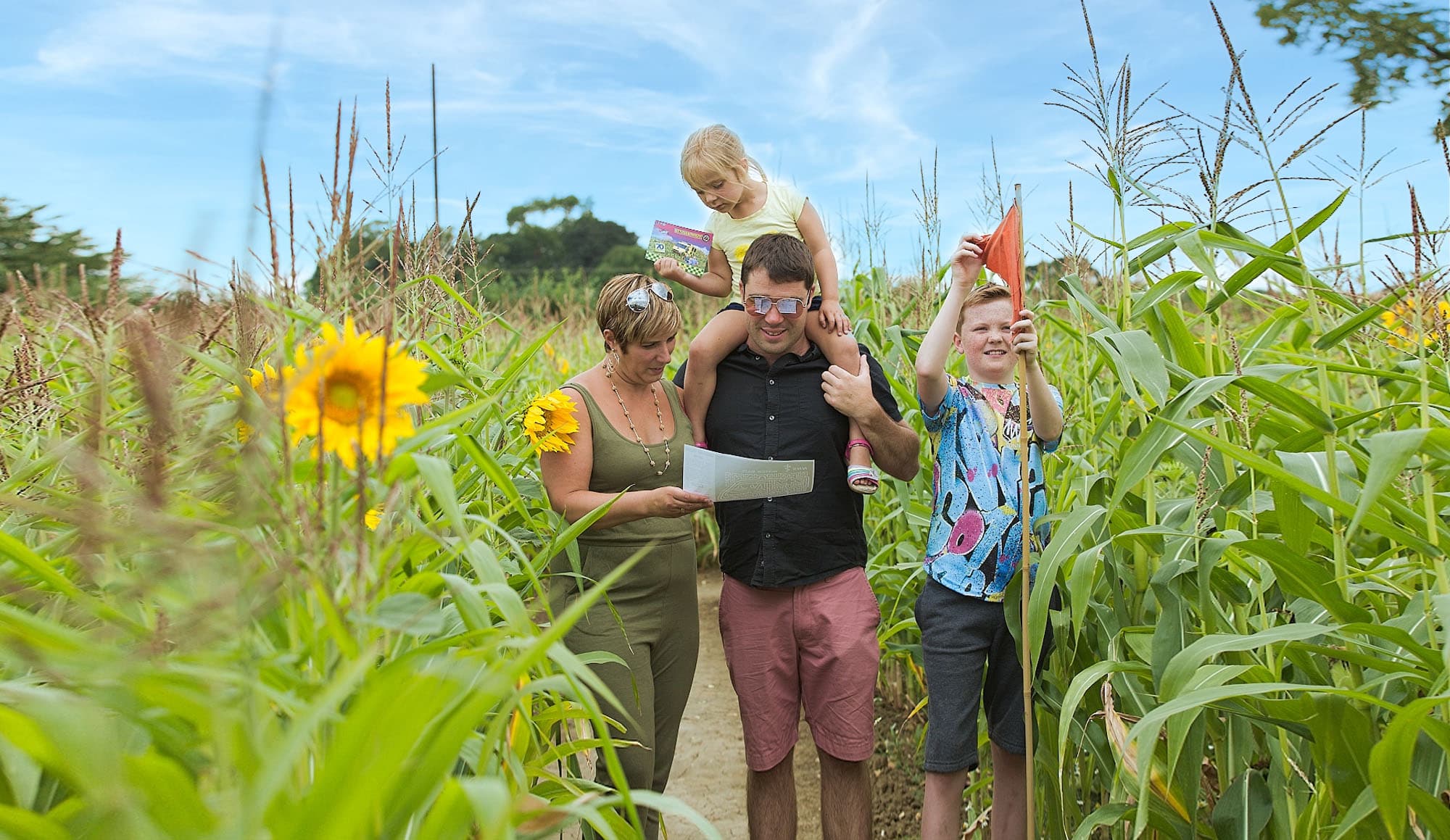 Wistow Maze - Image 3