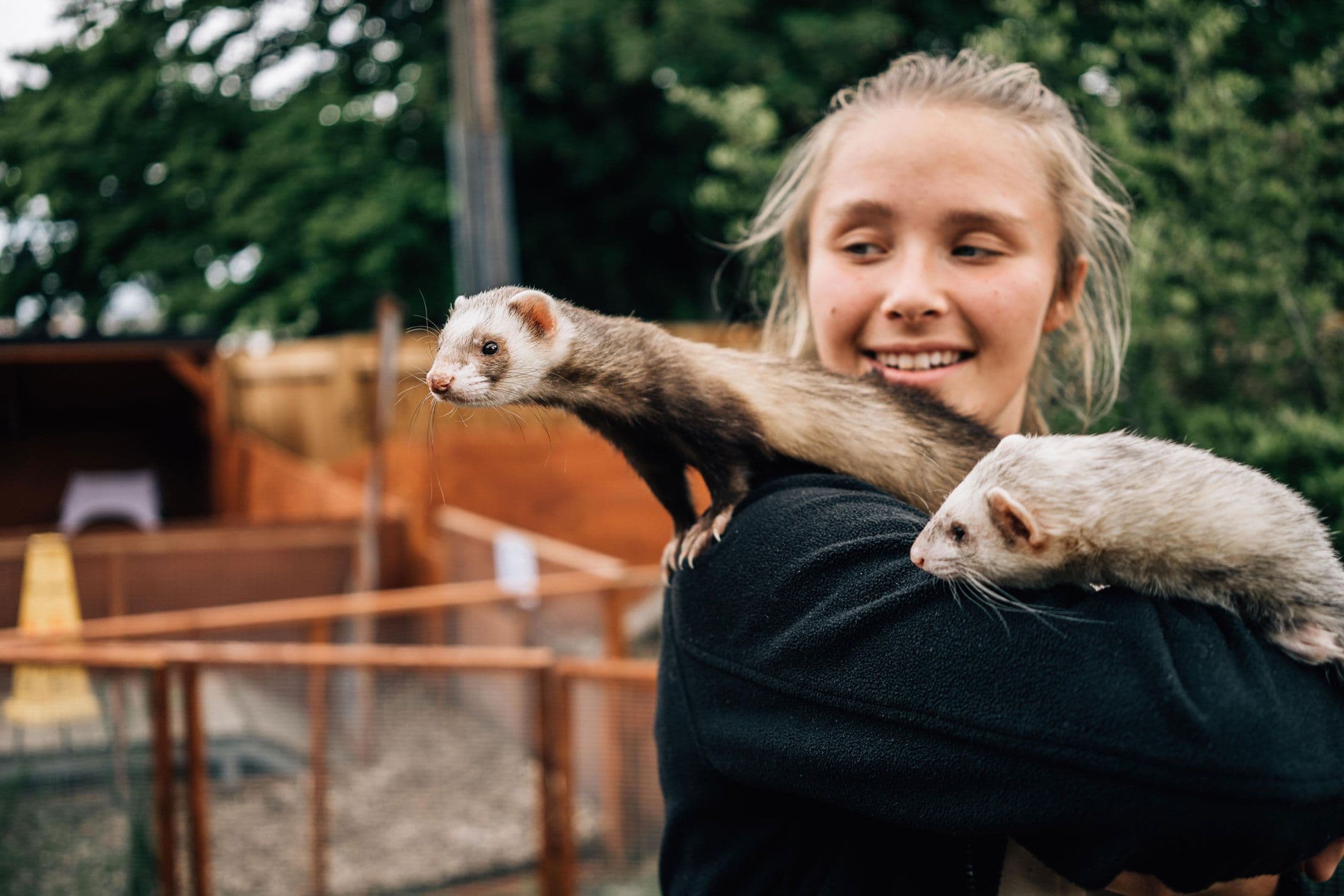 Maldon Promenade Zoo - Image 2