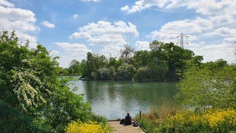 Walthamstow Wetlands, London Wildlife Trust - Image 3