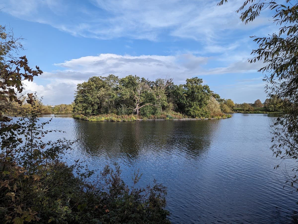 Walthamstow Wetlands, London Wildlife Trust - Image 5