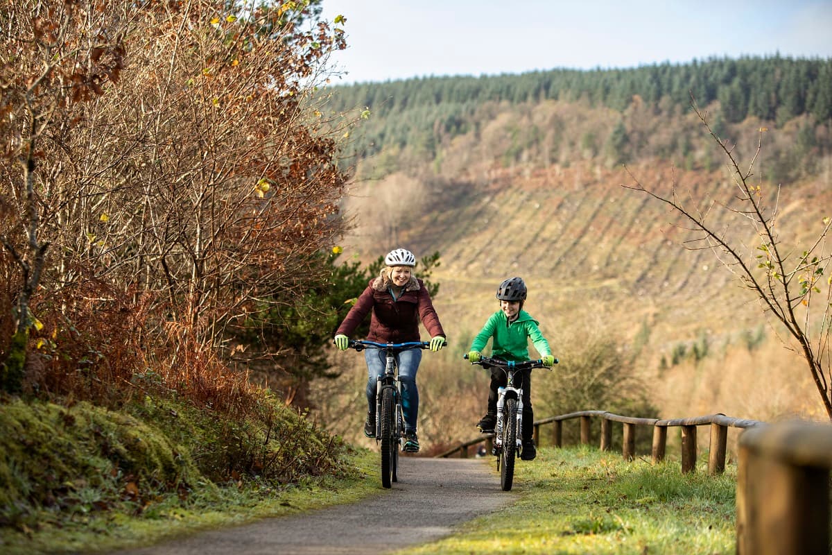 Afan Forest Mountain Bike Trails - Main view