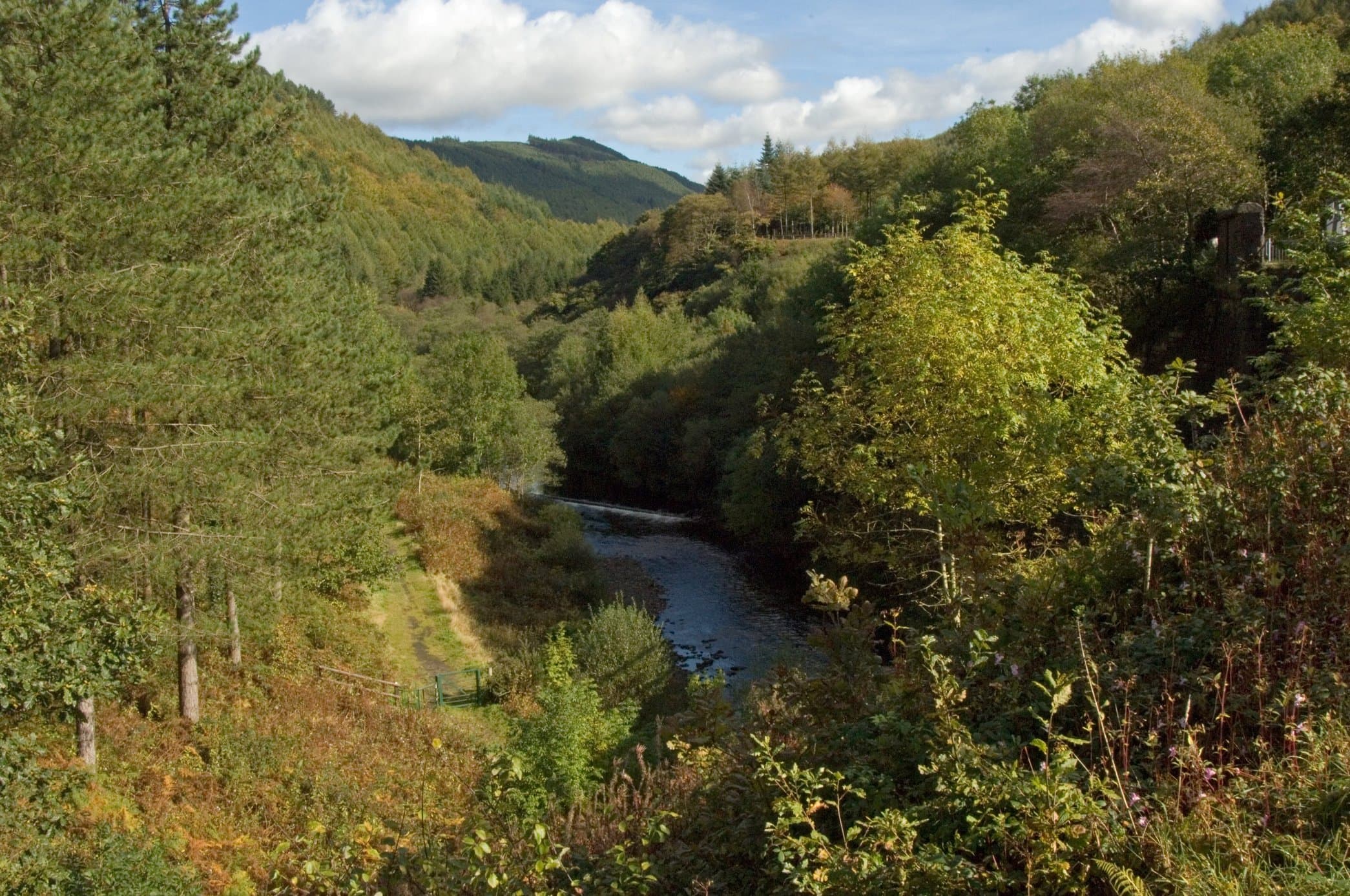 Afan Forest Mountain Bike Trails - Image 2