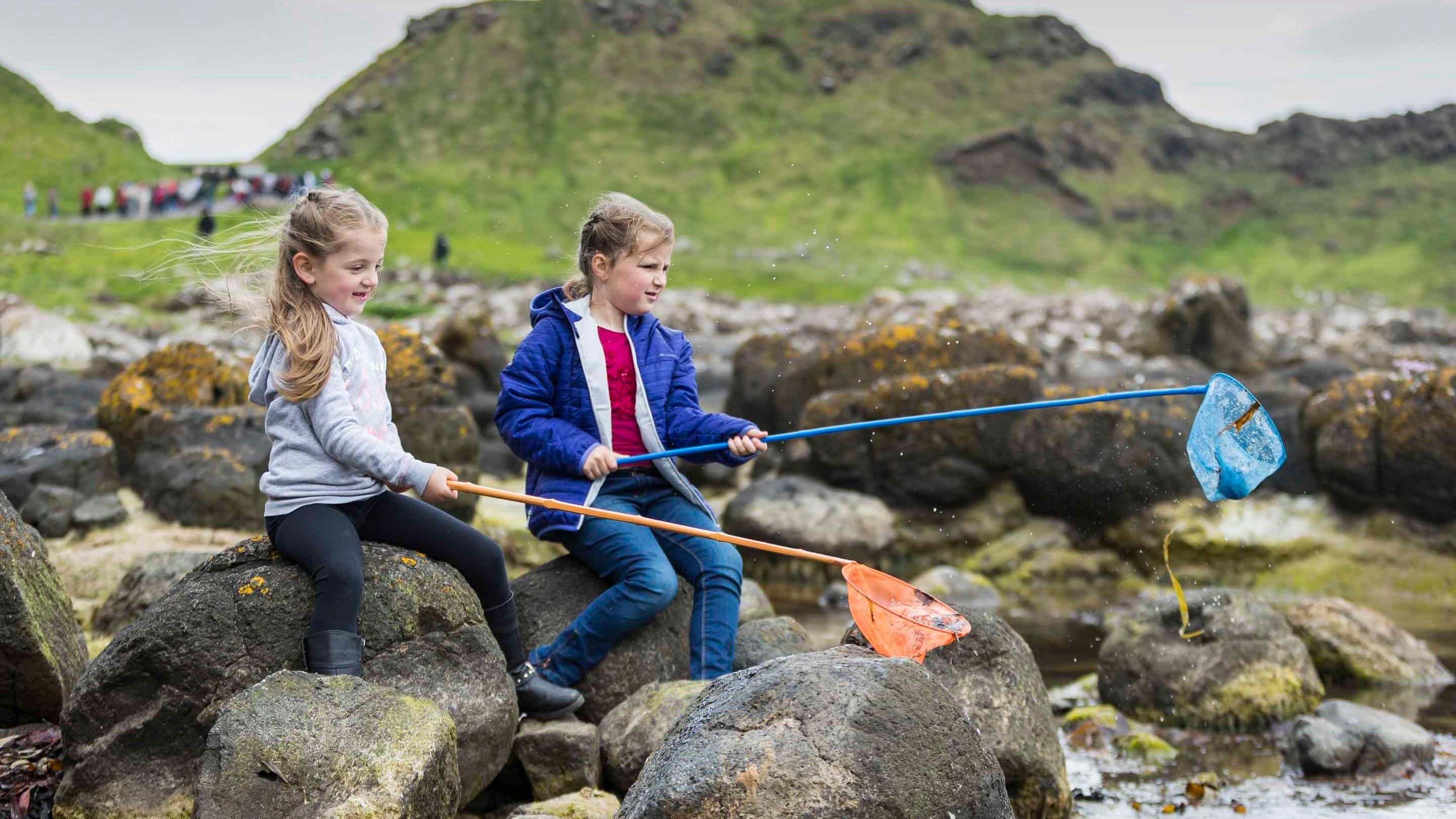 National Trust - Giant's Causeway Visitor Centre - Image 3