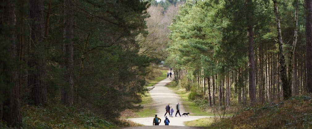 Sherwood Pines - Main view