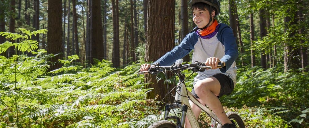 Sherwood Pines - Image 3