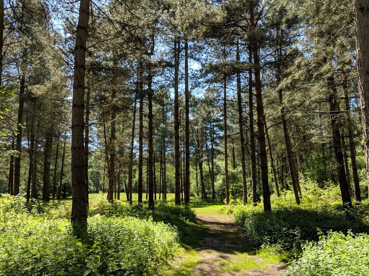 Sherwood Pines - Image 5