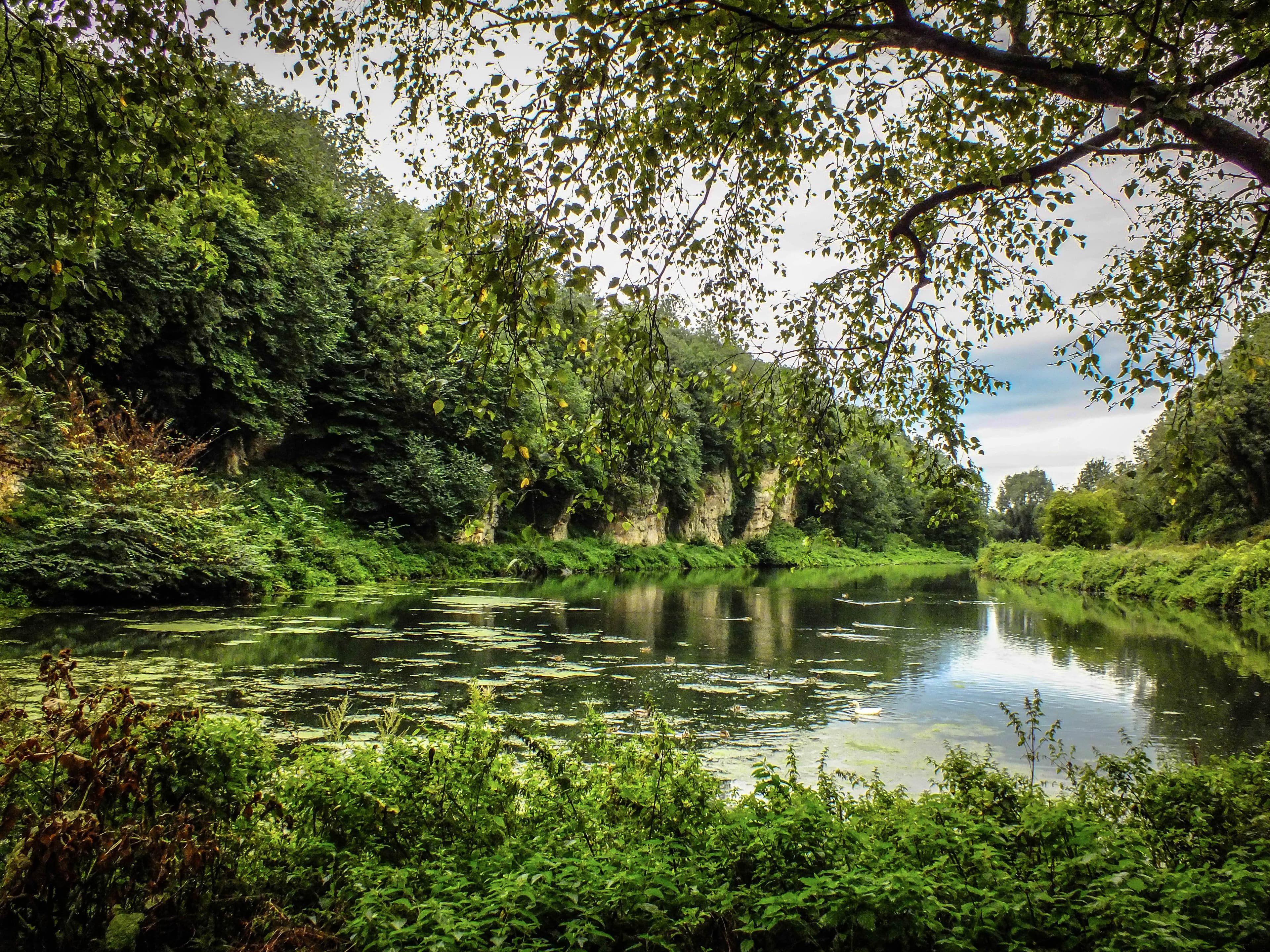 Creswell Crags - Main view