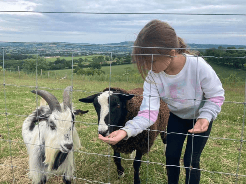 Foxdown Children's Farm - Image 2