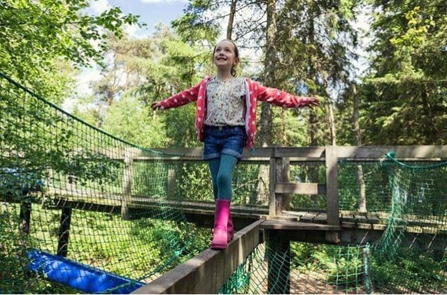 Broom House Farm Forest Adventure - Image 2
