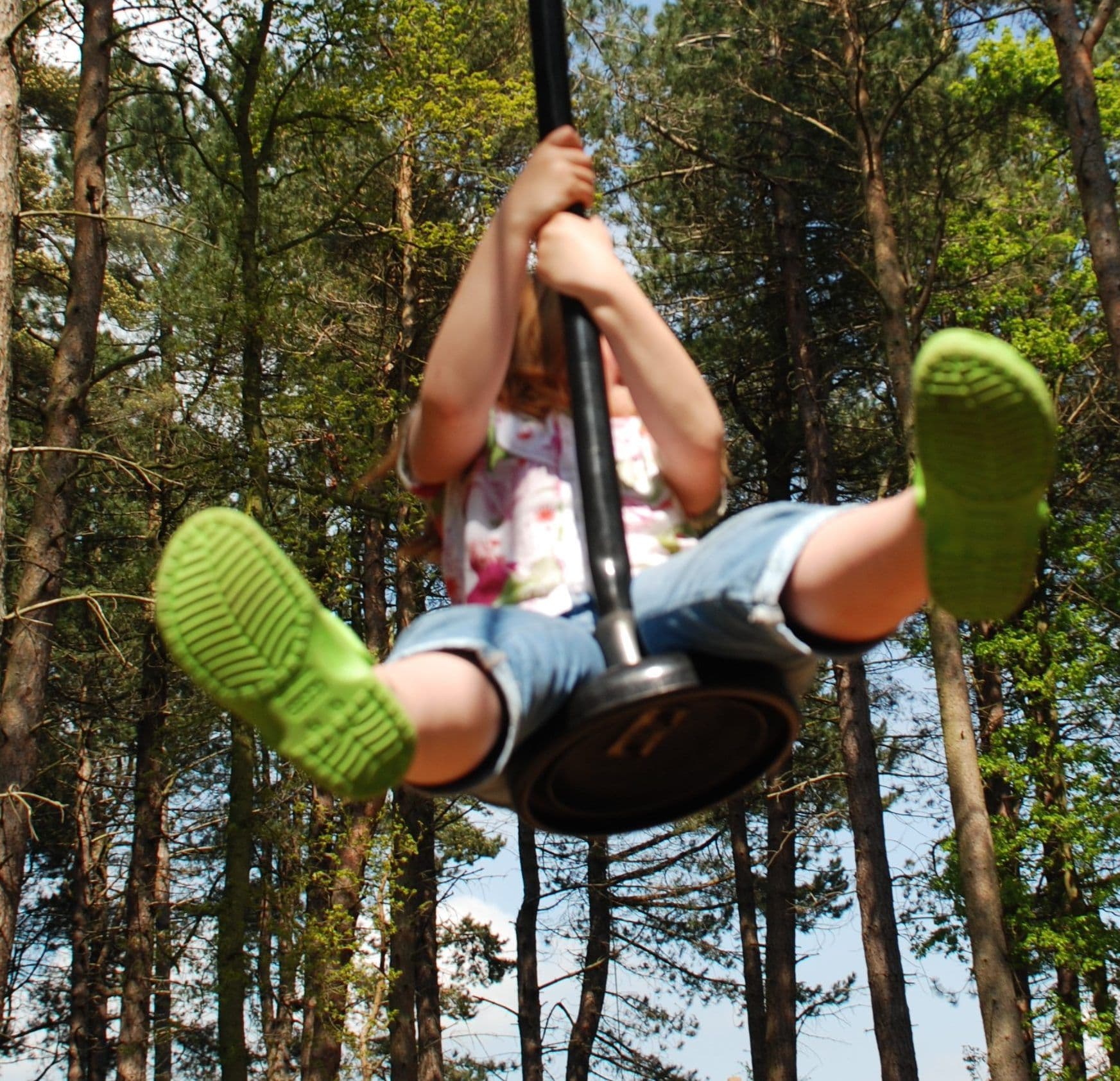 Broom House Farm Forest Adventure - Image 3