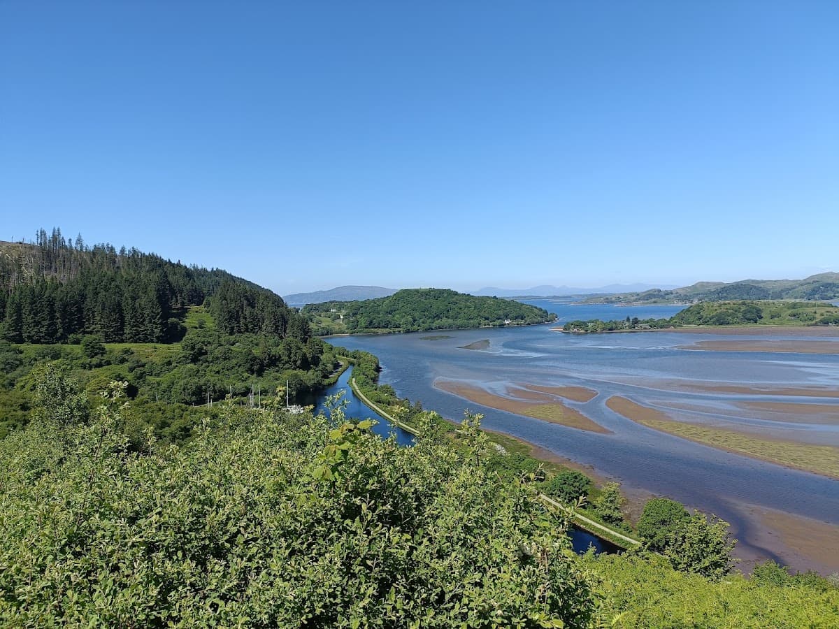 Knapdale Scottish Beaver Trail - Image 2
