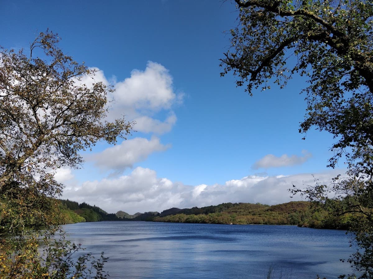 Knapdale Scottish Beaver Trail - Image 3